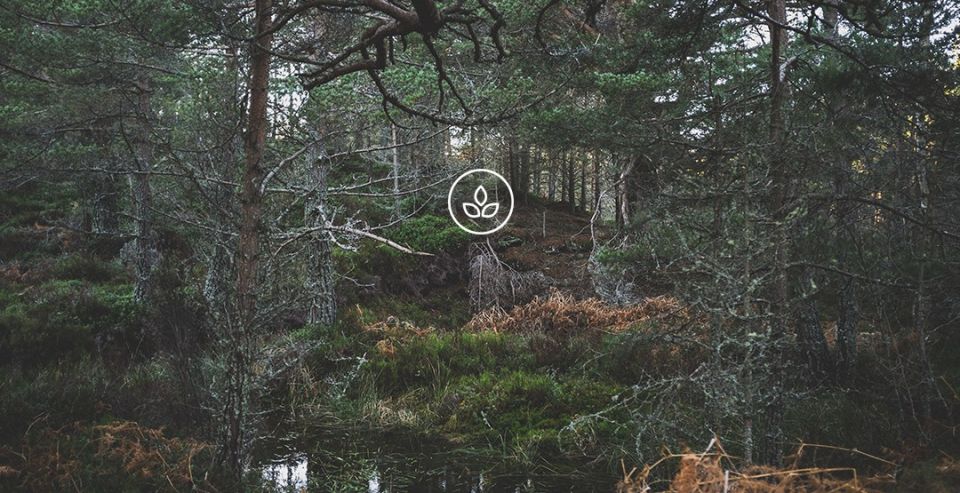 BeWooden - Elegancki drewniany portfel Nox Tenebra
