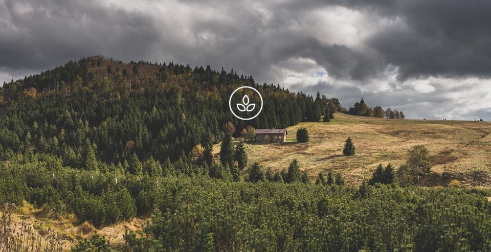 BeWooden - Drewniane spinki do mankietów Porro ręcznej produkcji