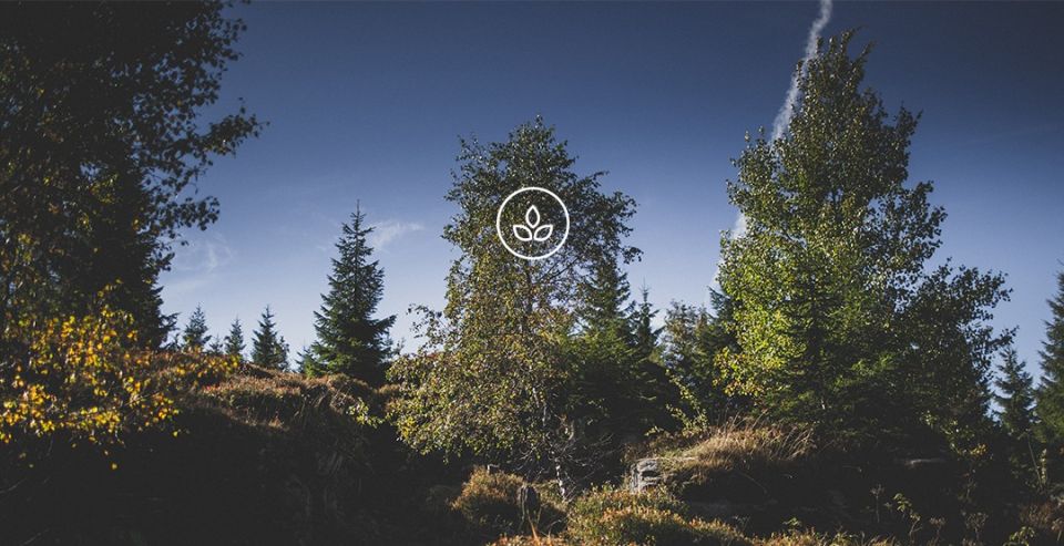 BeWooden - Ręcznie wyprodukowane drewniane spinki do mankietów Flovea