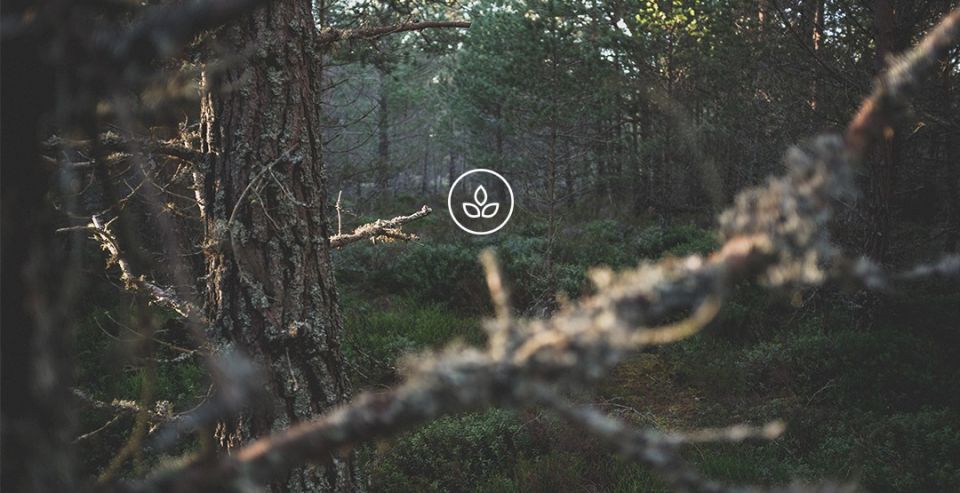 BeWooden - Drewniane dodatki - prezent dla zakochanych