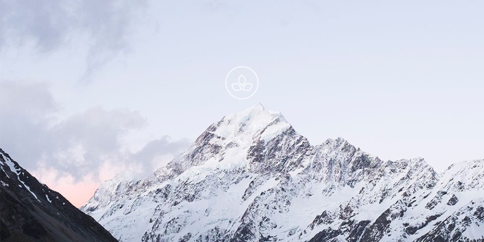 BeWooden -
