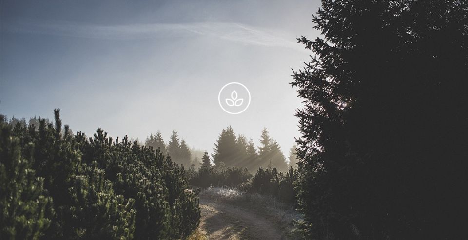 BeWooden -