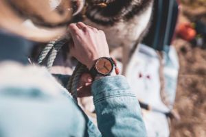 Zegarek Apis Watch