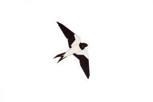 Drewniana broszka Swallow Brooch