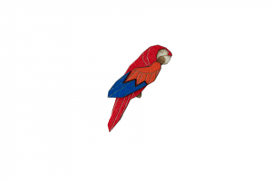 Ara Parrot Brooch