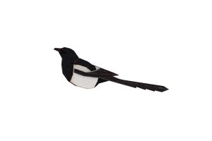 Drewniana broszka Magpie Brooch