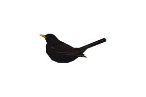 Drewniana broszka Blackbird Brooch