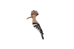 Drewniana broszka Hoopoe Brooch