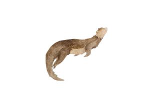 Otter Brooch by Epipi