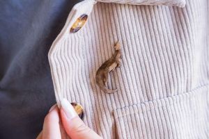 Otter Brooch by Epipi