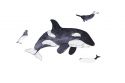 Mini drewniane puzzle – Orka – Marka Epipi