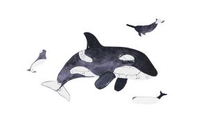 Mini drewniane puzzle – Orka – Marka Epipi