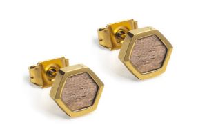 Metalowe kolczyki  Apis Earrings Hexagon