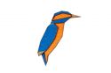 Drewniana broszka Kingfisher Brooch