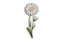 Drewniana broszka Daisy Brooch