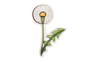 Drewniana broszka Dandelion Brooch