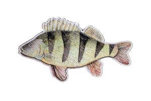 Drewniana broszka Okoń – od Epipi