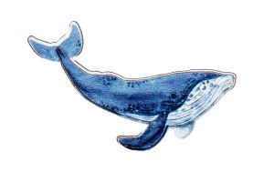 Drewniana broszka Wieloryb – od Epipi